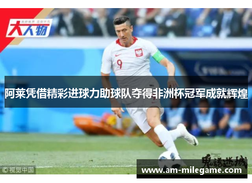 阿莱凭借精彩进球力助球队夺得非洲杯冠军成就辉煌